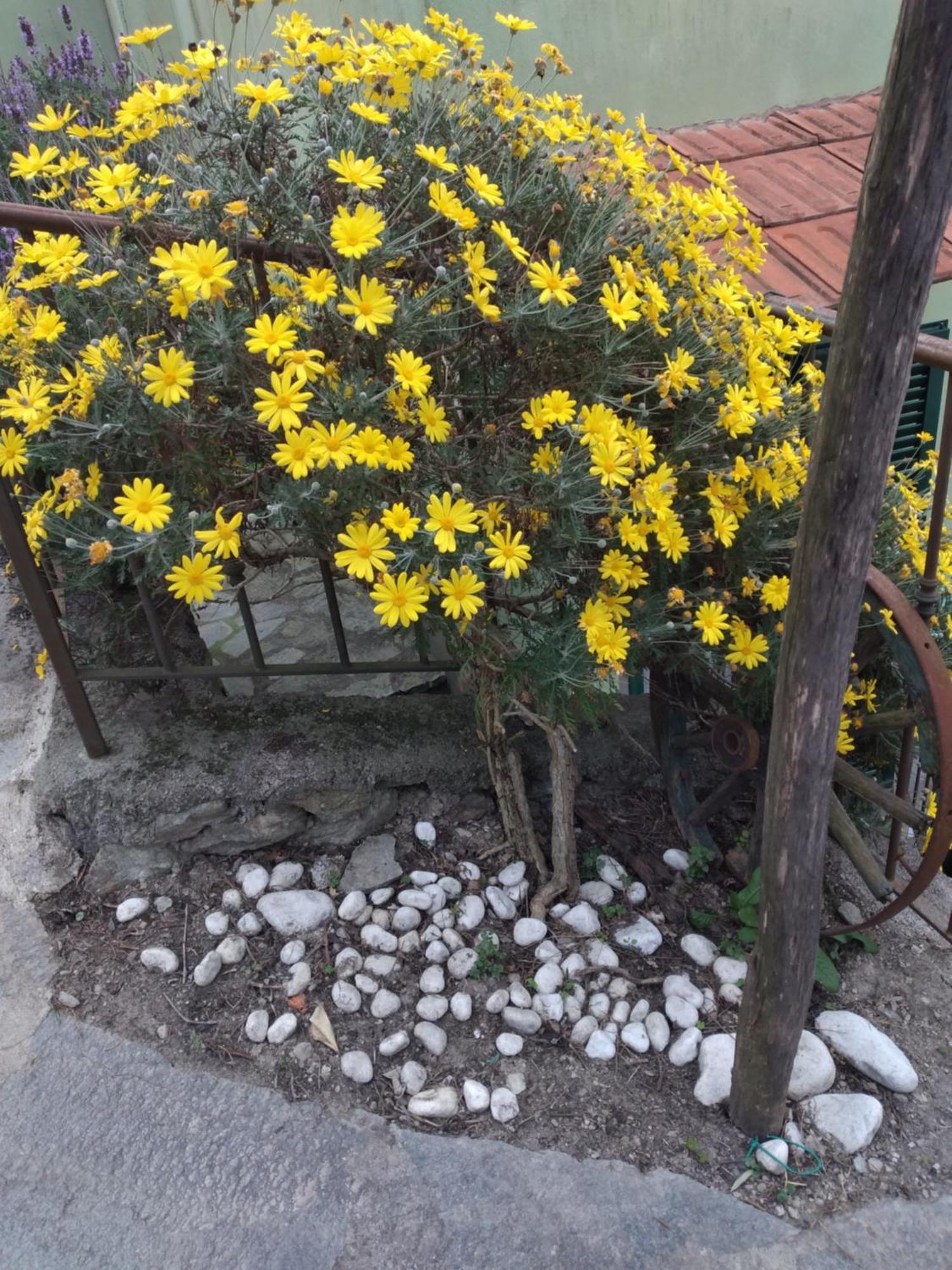 Ca Degli Ulivi Hotell Finale Ligure Exteriör bild